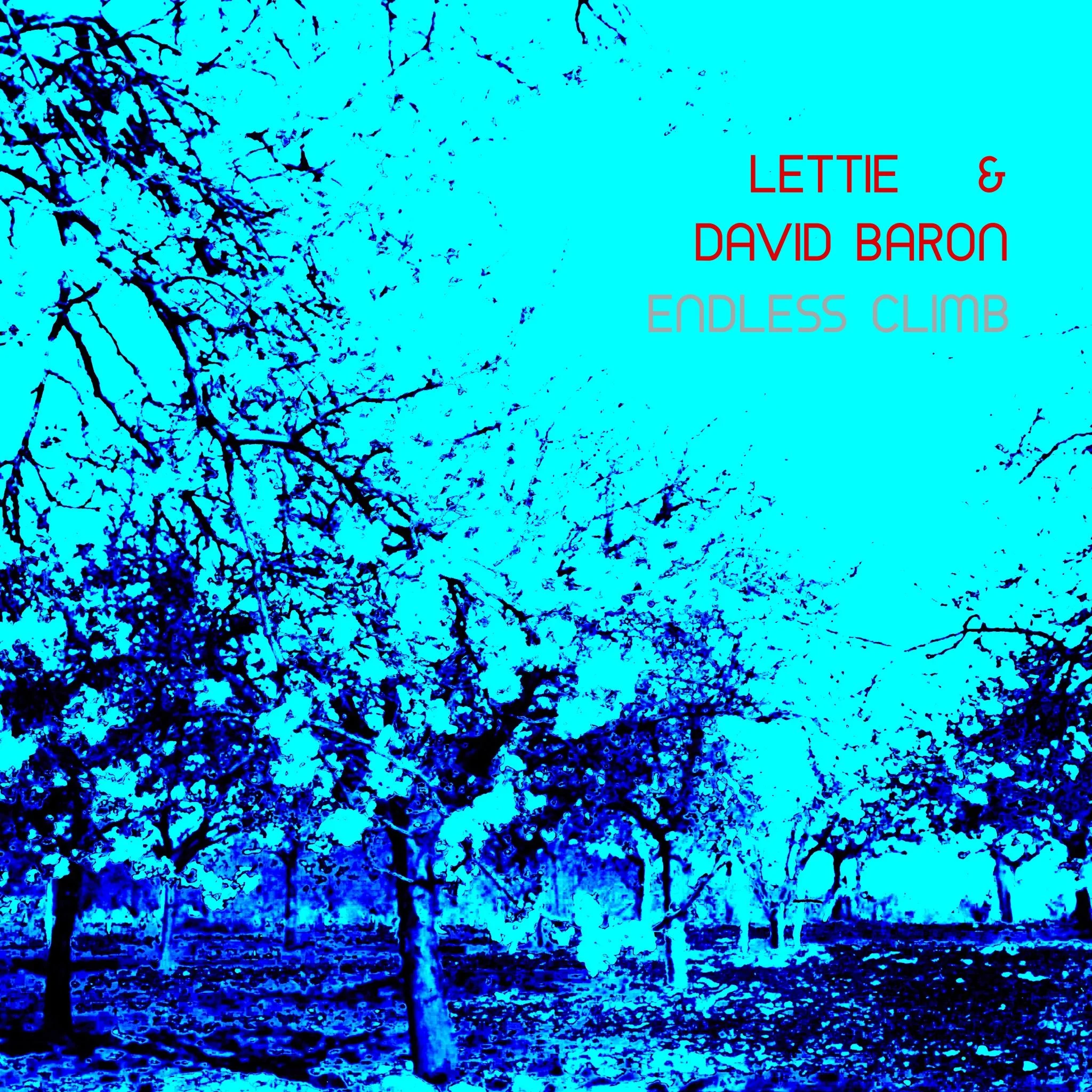 Lettie and David Baron - Endless Climb – cover art